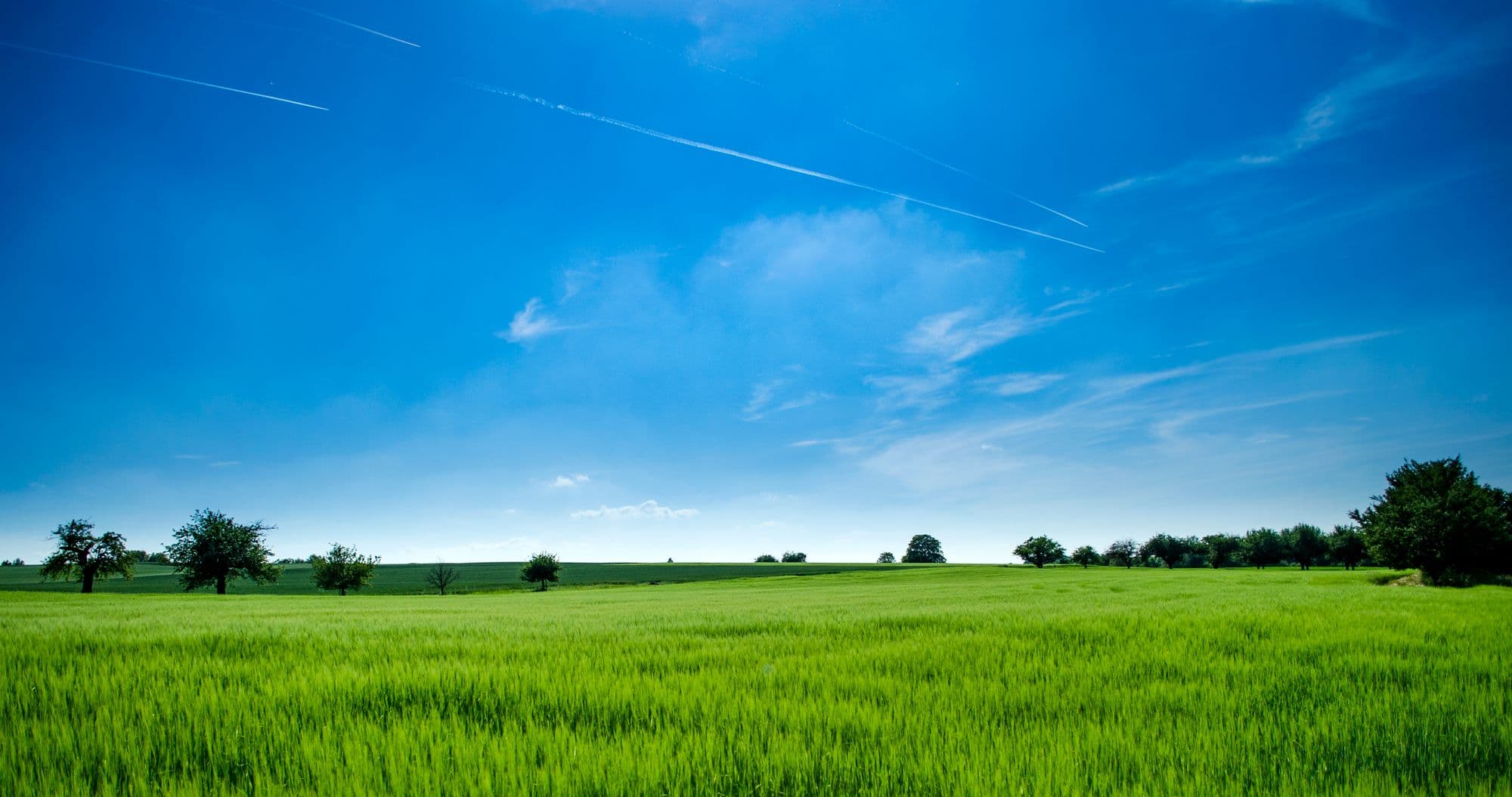 Open land in Autauga County